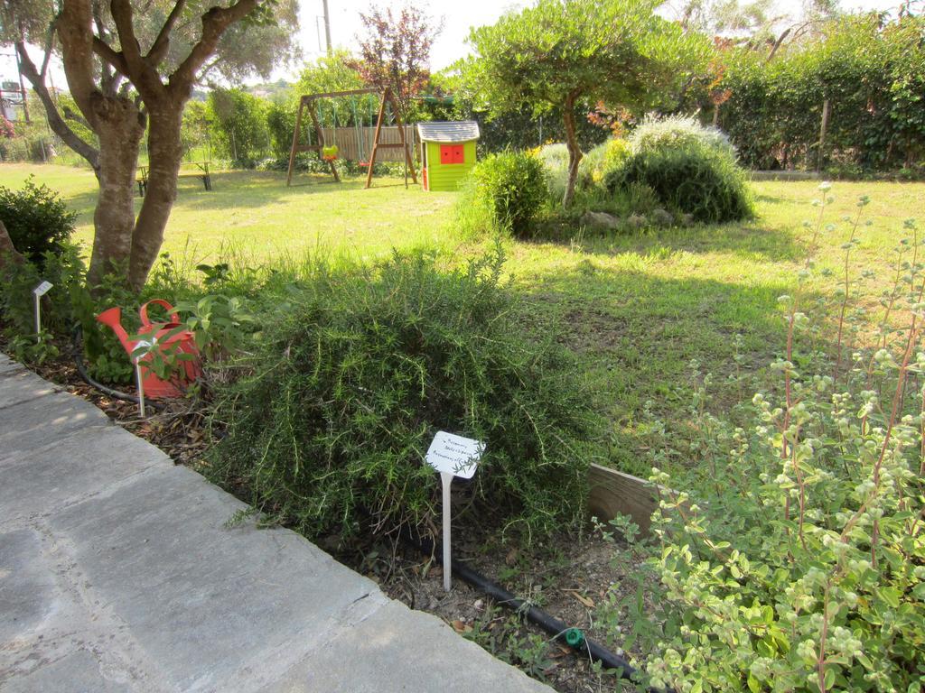 Neria Summer Houses Hanioti Buitenkant foto